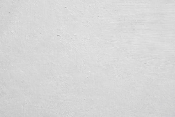 Thomasville, NC Mold Removal Company